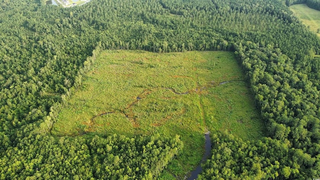 TBD Oak Log Lake Rd, Conway, SC 29526