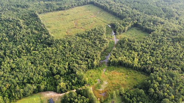 TBD Oak Log Lake Rd, Conway, SC 29526