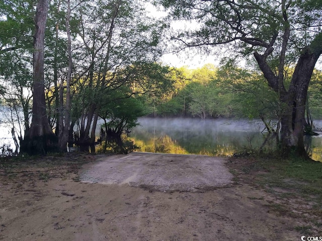 Listing photo 3 for LOT7 Black Island Rd, Galivants Ferry SC 29544