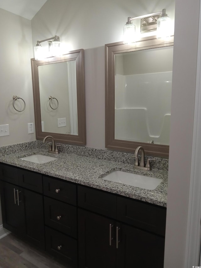 bathroom with vanity and wood-type flooring