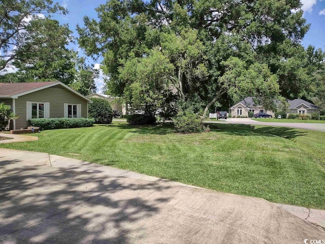 view of yard