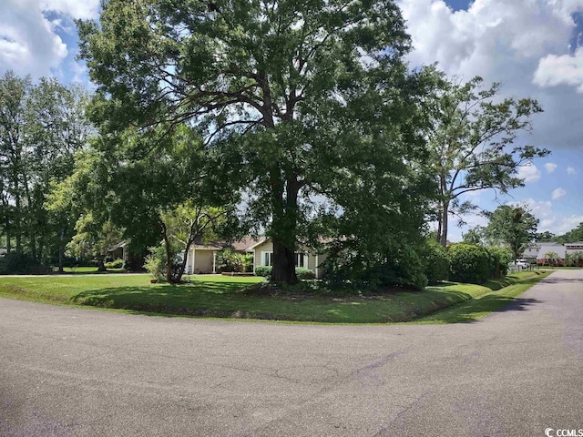 view of front of home with a front lawn