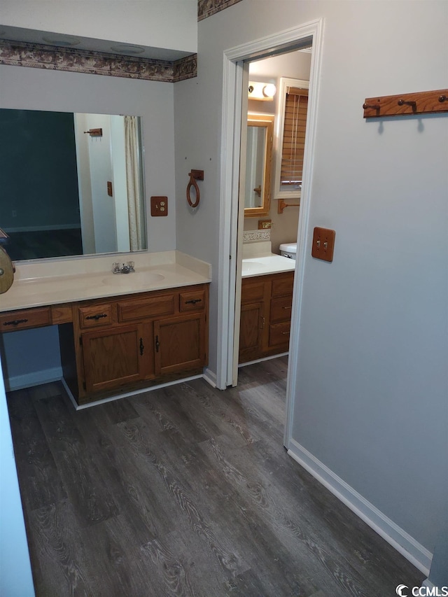 bathroom with wood-type flooring and vanity with extensive cabinet space