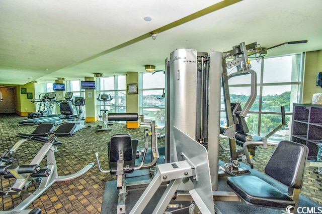 gym featuring carpet flooring