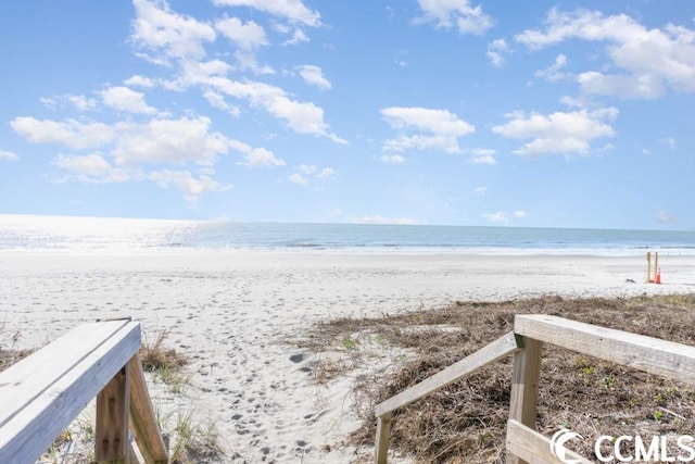 water view featuring a beach view