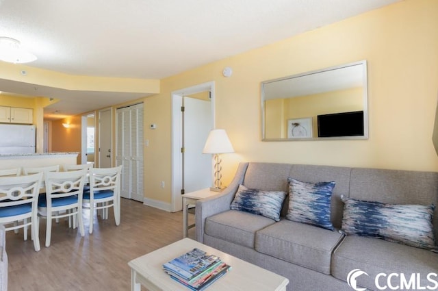 living room with light hardwood / wood-style floors