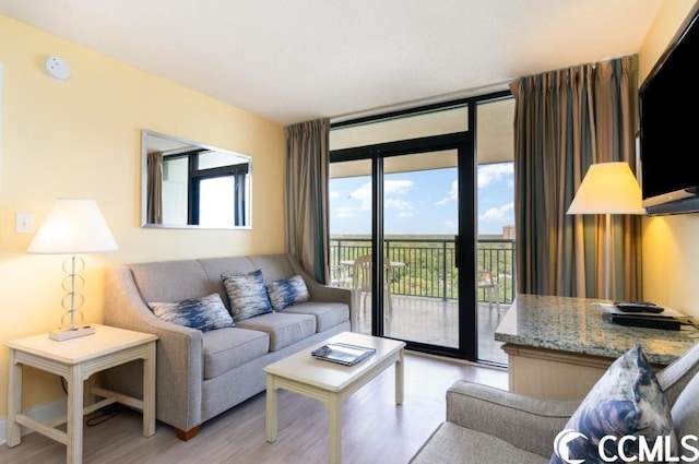 living room featuring a wall of windows and light hardwood / wood-style flooring