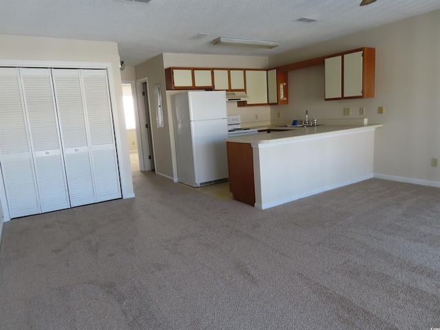 510 Fairwood Lakes Dr Unit 16M, Myrtle Beach, SC 29588 - kitchen with white appliances, a textured ceiling, sink, kitchen peninsula, and light colored carpet