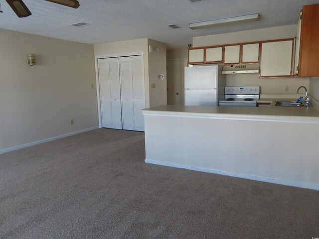 510 Fairwood Lakes Dr Unit 16M, Myrtle Beach, SC 29588 - kitchen with sink, white appliances, light colored carpet, and a textured ceiling
