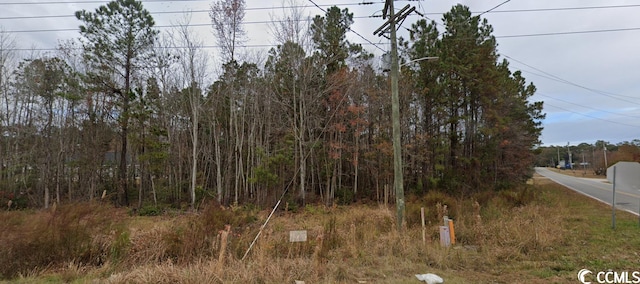 Listing photo 3 for TBD Highway 90, Conway SC 29526