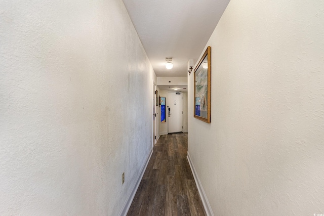 corridor featuring dark hardwood / wood-style flooring