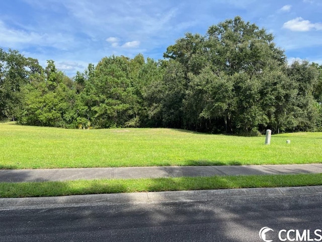 LOT109 Rosebank Rd, Georgetown SC, 29440 land for sale