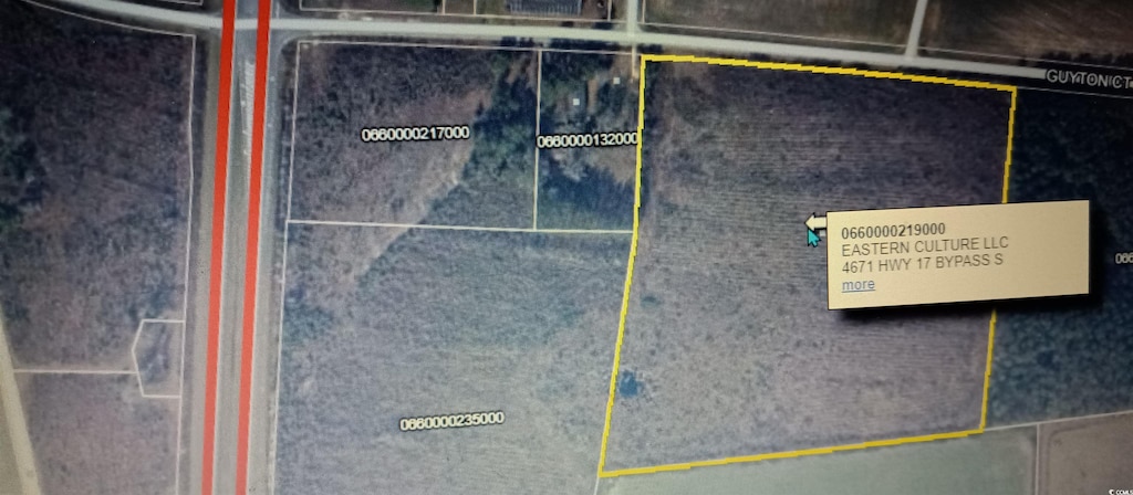 TBD Guyton Ct, Marion, SC 29571 - photo 2