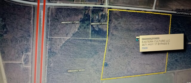 TBD Guyton Ct, Marion, SC 29571 - photo 2