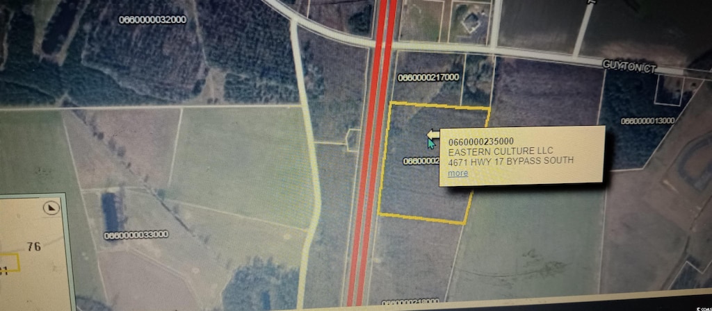 TBD Guyton Ct, Marion, SC 29571 - photo 3