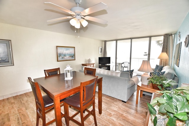 dining area with a wall of windows, ceiling fan, and light wood-type flooring