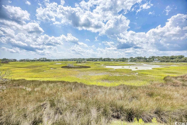 view of local wilderness with a rural view