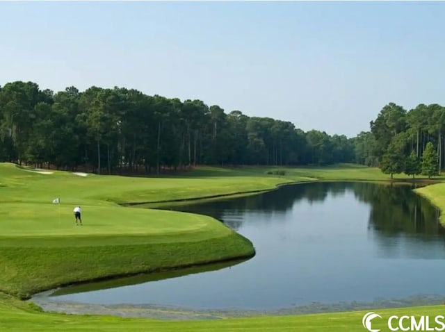 4856 Carnation Cir Unit 304, Myrtle Beach, SC 29577 - surrounding community featuring a water view and a lawn