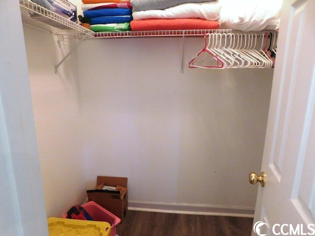 spacious closet featuring dark hardwood / wood-style flooring