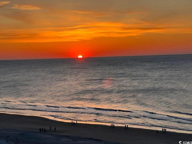 5905 S Kings Hwy Unit 337B, Myrtle Beach, SC 29575 - photo 15