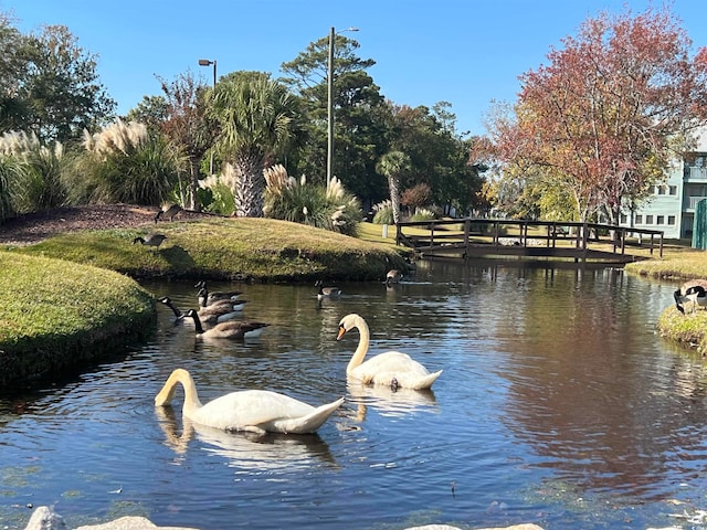 property view of water