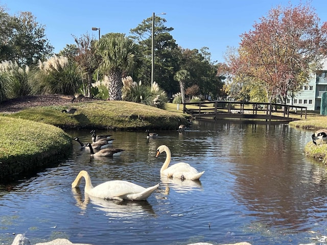 5905 S Kings Hwy Unit 337B, Myrtle Beach, SC 29575 - view of dock area