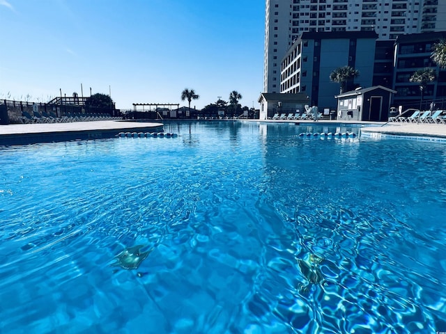 5905 S Kings Hwy Unit 337B, Myrtle Beach, SC 29575 - view of swimming pool