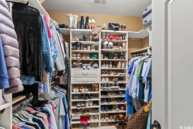 view of spacious closet