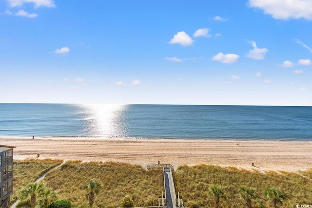 view of water feature with a beach view