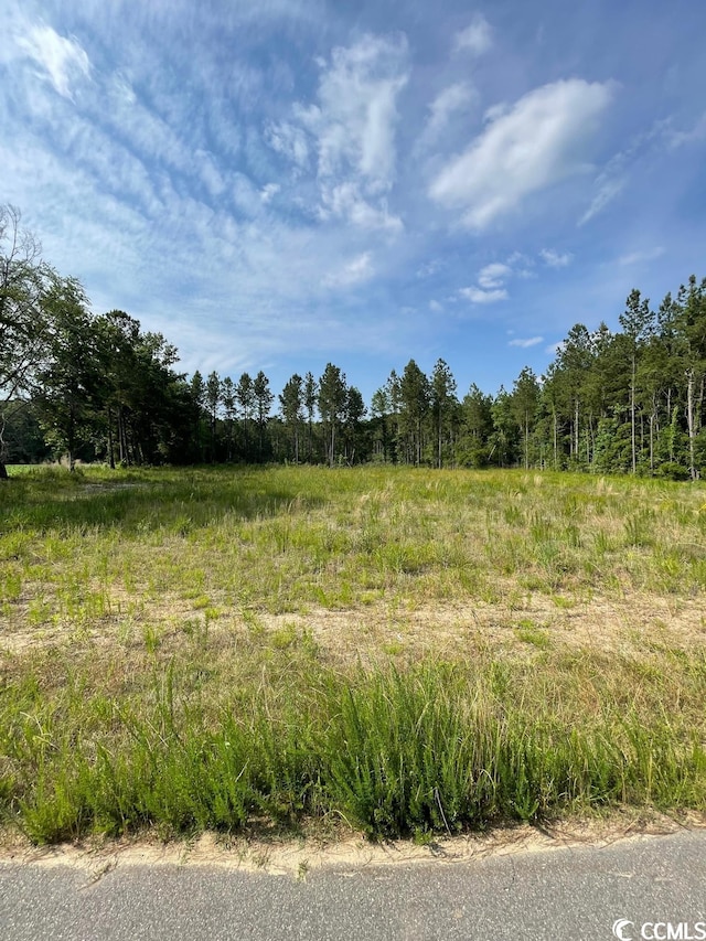 Sioux Swamp Dr, Conway SC, 29527 land for sale