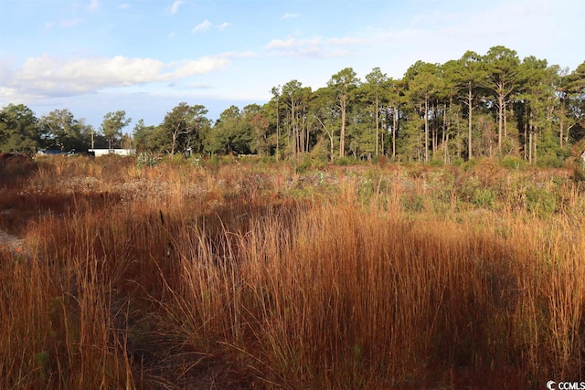7765 Ocean Hwy, Pawleys Island, SC 29585