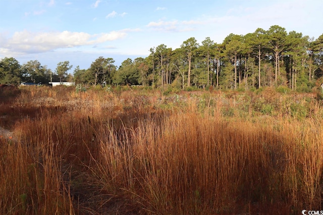 7765 Ocean Hwy, Pawleys Island SC, 29585 land for sale