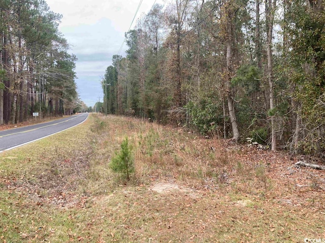 Listing photo 3 for TBD Persimmon Ford Rd, Johnsonville SC 29555