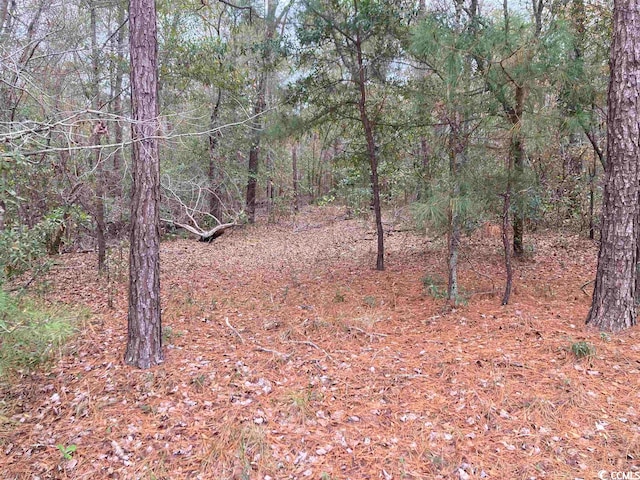 TBD Persimmon Ford Rd, Johnsonville SC, 29555 land for sale