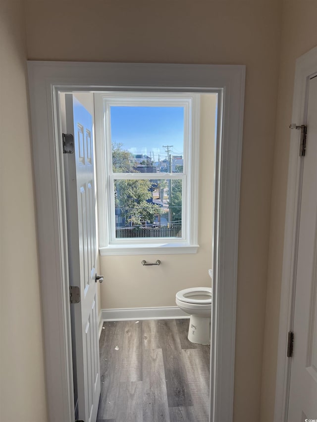 bathroom featuring wood-type flooring and toilet