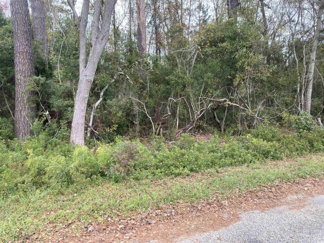 Golfview Cir, Johnsonville SC, 29555 land for sale