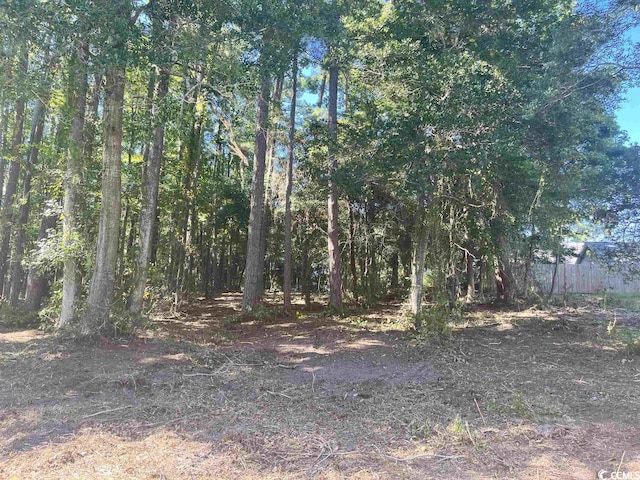 LOT7 Luck Ave, Little River, SC 29566 - photo 1