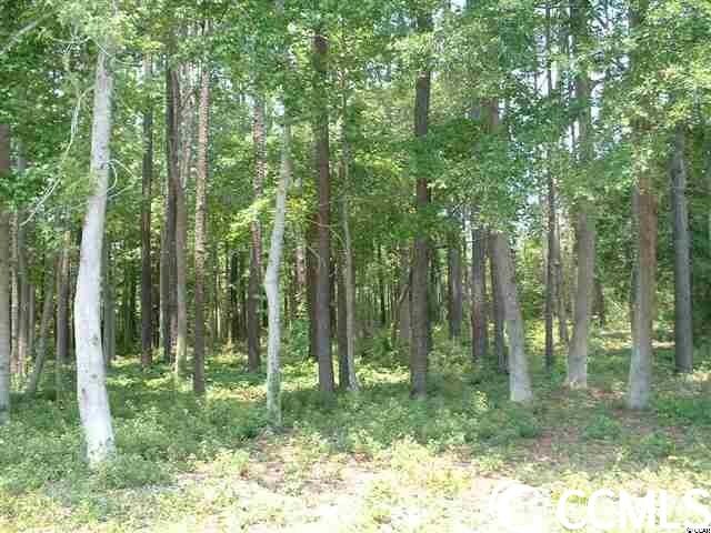 LOT7 Luck Ave, Little River, SC 29566 - photo 6