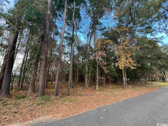 LOT13 Comanche Dr, Georgetown SC, 29440 land for sale