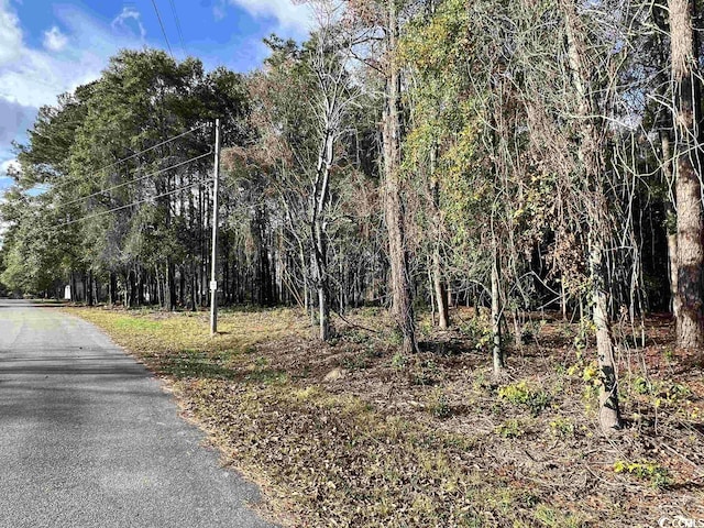LOT13 Comanche Dr, Georgetown, SC 29440