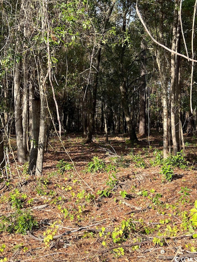 LOT13 Comanche Dr, Georgetown, SC 29440