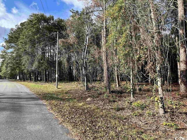 LOT13 Comanche Dr, Georgetown, SC 29440