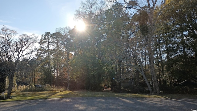 1310 Hidden Harbor Rd, Myrtle Beach, SC 29579 - photo 9
