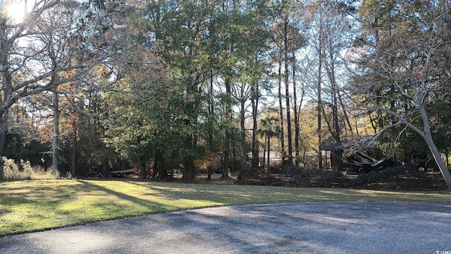 1310 Hidden Harbor Rd, Myrtle Beach, SC 29579 - photo 11