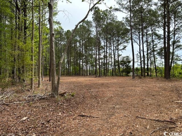 Listing photo 3 for TBD W Pelican Rd, North Myrtle Beach SC 29582