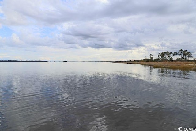 view of water feature