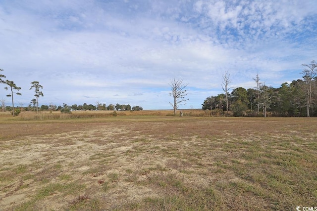 view of yard featuring a rural view