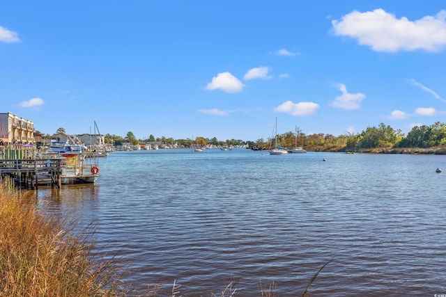 property view of water featuring a boat dock