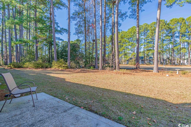 view of yard with a patio area