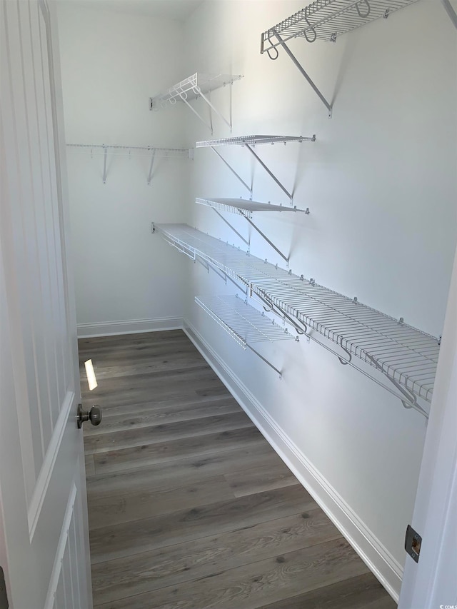 walk in closet with dark hardwood / wood-style flooring